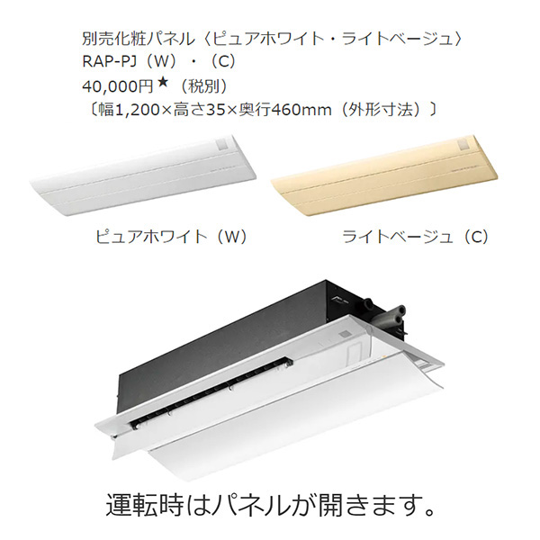 RAP-K56J2