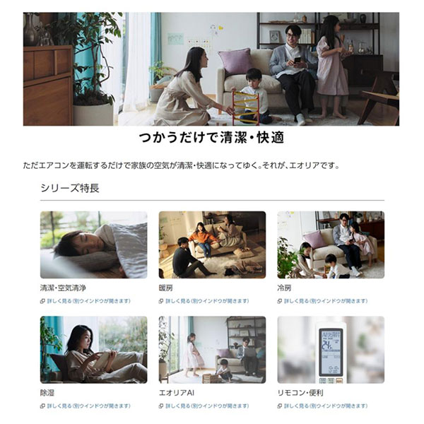 CS-713DHX2-W