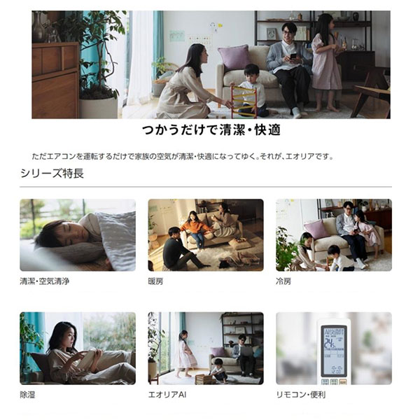 CS-363DGX-W